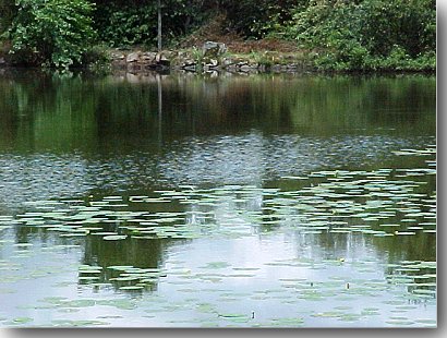 Etang du chteau du Chiroux (Peyrat-la-Nonire)